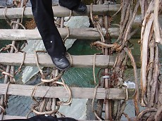 t_DSC03619.jpg