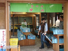 t_DSC08221.jpg