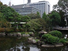 t_DSC08648.jpg
