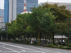 t_DSC08705.jpg
