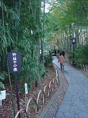 t_DSC09556.jpg