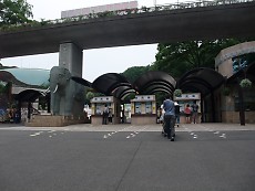 t_DSCF5911.jpg