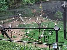 t_DSCF5963.jpg