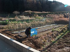 t_DSCF8237.jpg