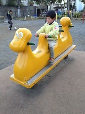 t_IMG_2167.jpg