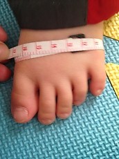 t_IMG_2218.jpg