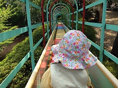 t_IMG_4846.jpg