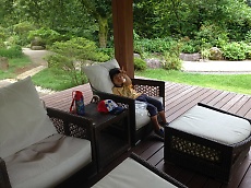 t_IMG_7753.jpg