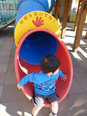 t_P1000540.jpg