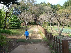 t_P1000553.jpg