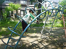 t_P1070169.jpg