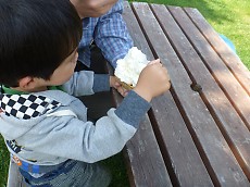 t_P1070906.jpg