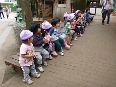 t_P1080852.jpg