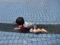 t_P1090247.jpg