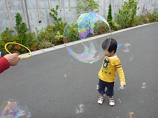 t_P1090750.jpg