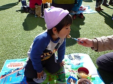 t_P1160184.jpg