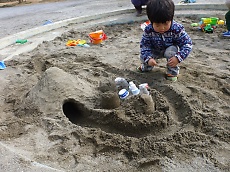 t_P1160848.jpg