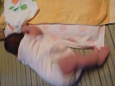 t_P1200565.jpg