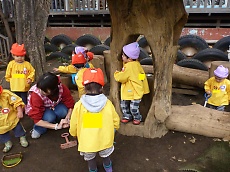t_tP1150036.jpg